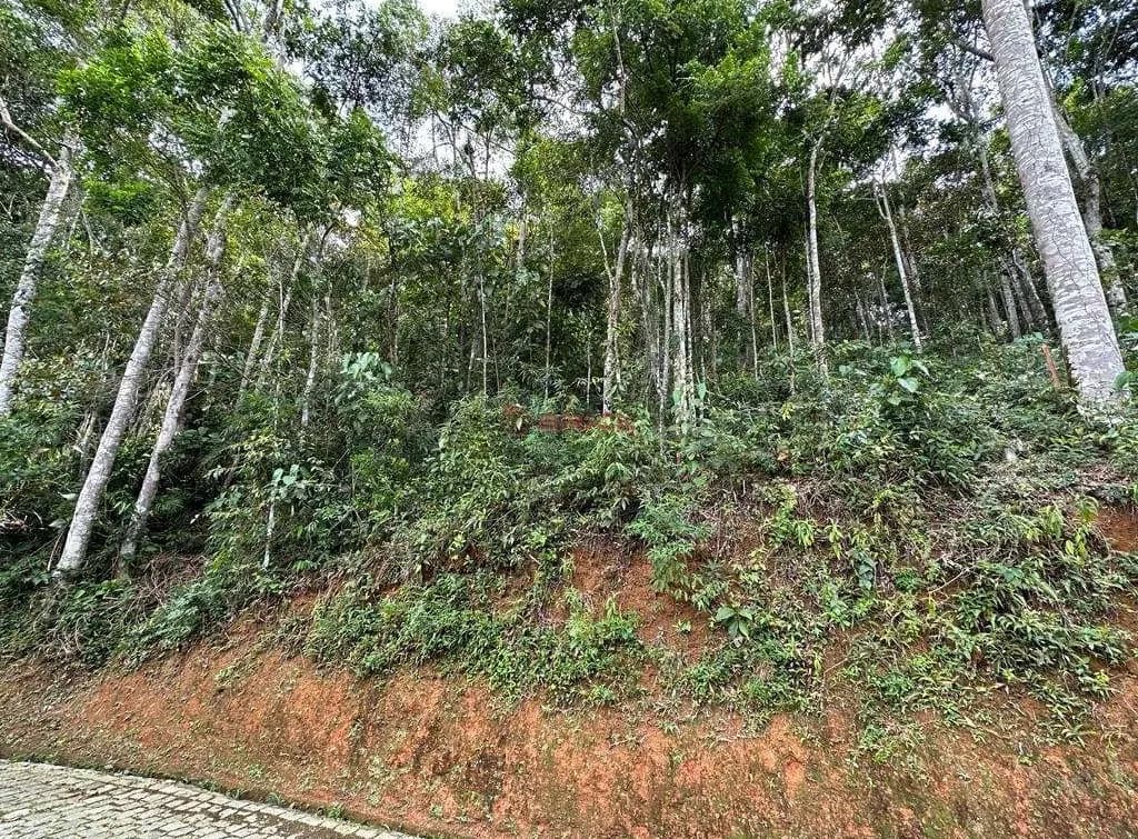 Terreno com 1.700 m² em condomínio no Parque do Imbuí - Teresópolis/RJ.