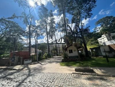 Apartamento em Pimenteiras