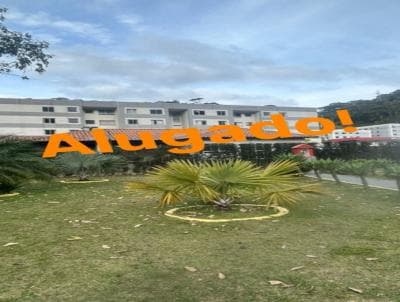 Apartamento em Pimenteiras