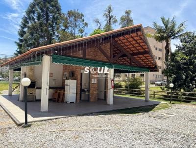 Apartamento em Pimenteiras