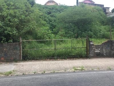 Terreno em Alto (TE0022)