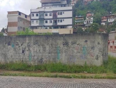 Terreno em Alto (TE0030)