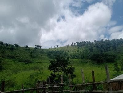 Terreno em Pessegueiros (TE0033)