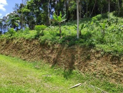Terreno em Fazenda Boa Fe Canoas (TE0036)