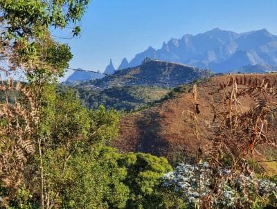 Terreno em Prata (TE0042)