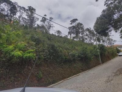 Terreno em Parque Do Imbui Roseiral (TE0048)