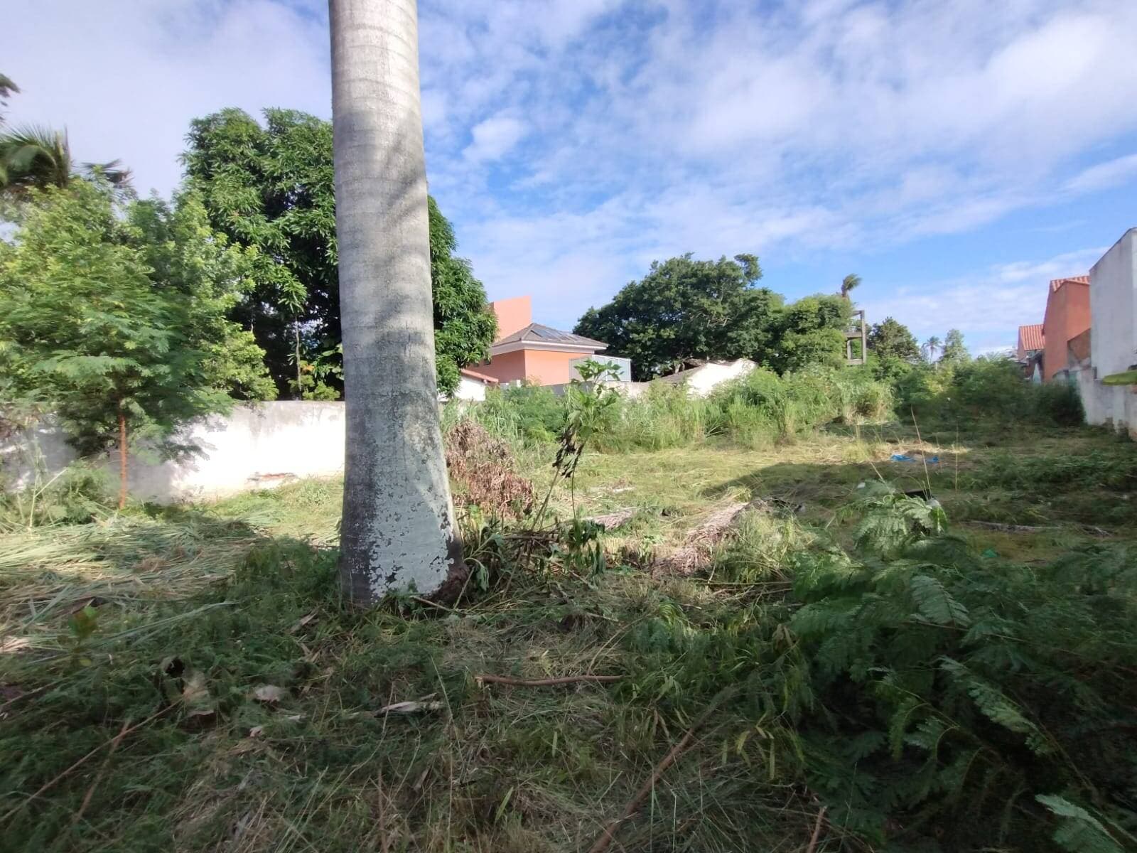 Área em frente a Logoa das Palmeiras 995m²