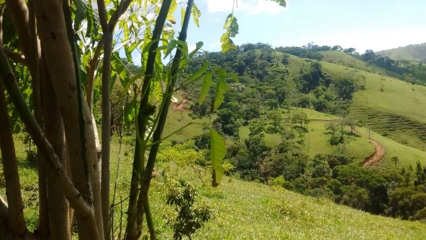 Sitio a Venda em Sapucaia