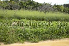 Venda – Terreno na Tartaruga – Búzios