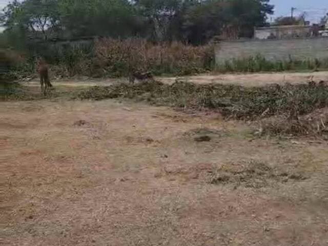 Excelente Oportunidade!