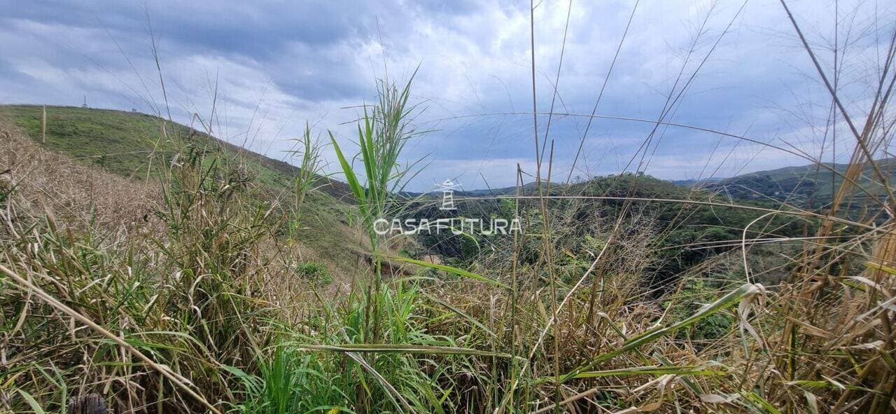 Terreno, 40.000 m² - foto 4