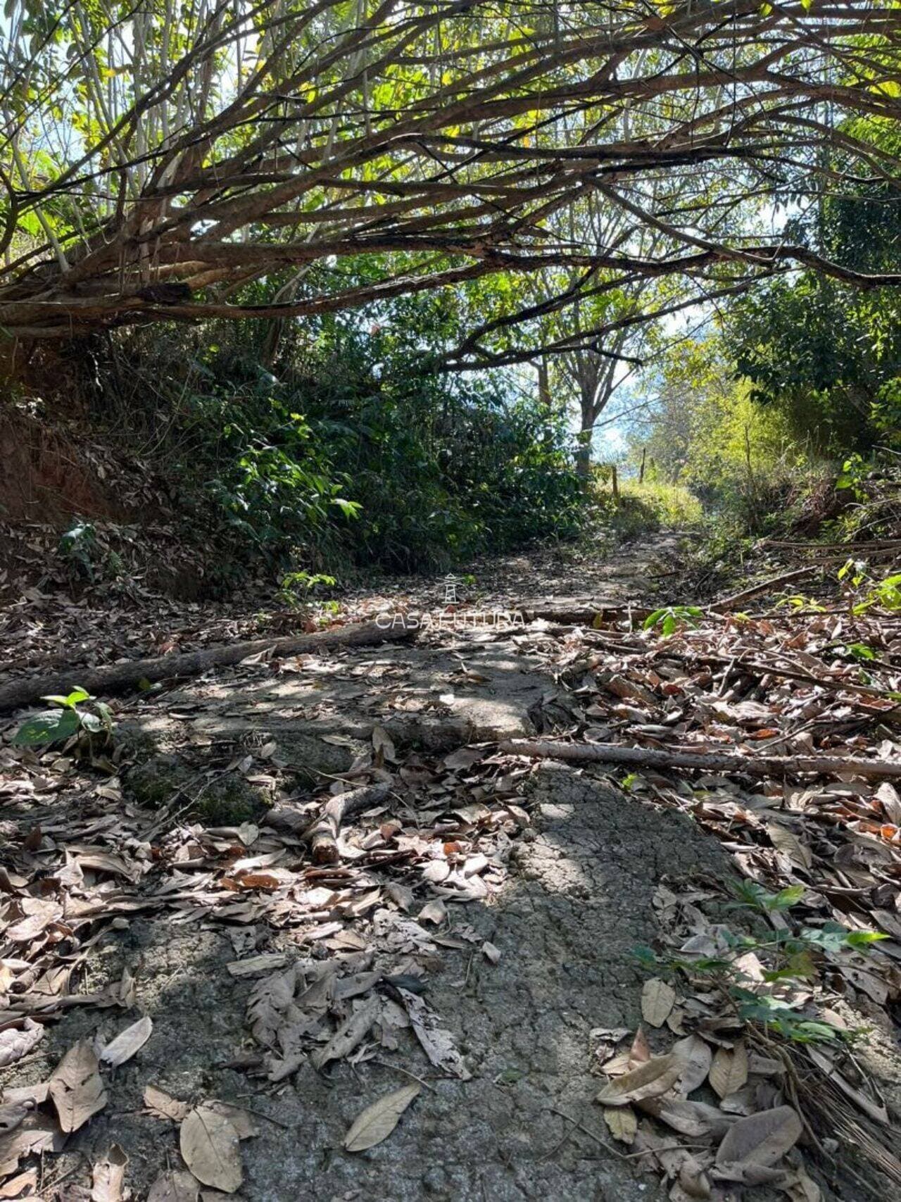 Terreno, 28.000 m² - foto 2