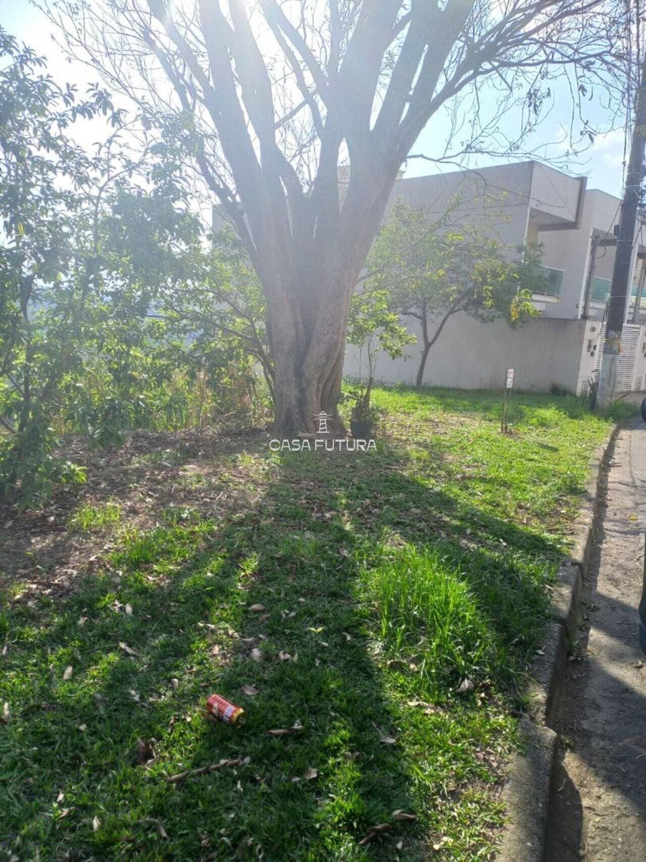 Terreno, 777 m² - foto 4