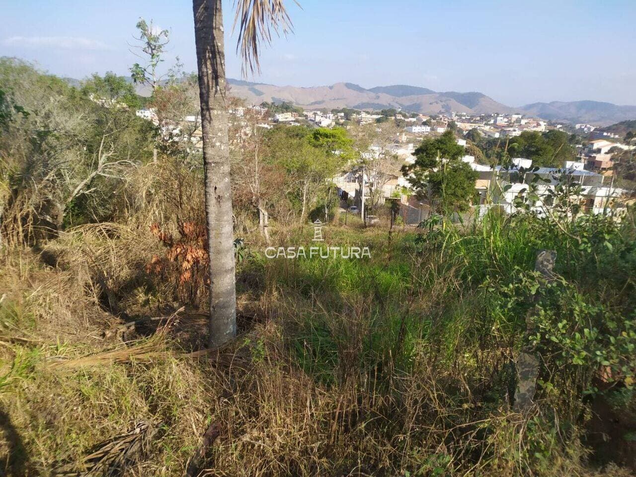 Chácara com 2 quartos, 960 m² - foto 4