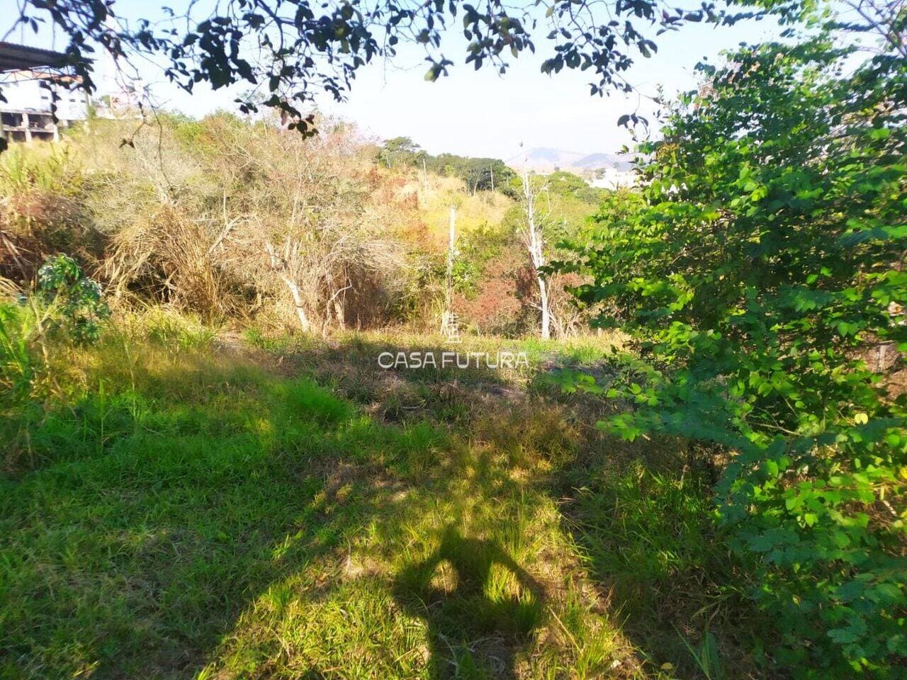 Chácara com 2 quartos, 960 m² - foto 3