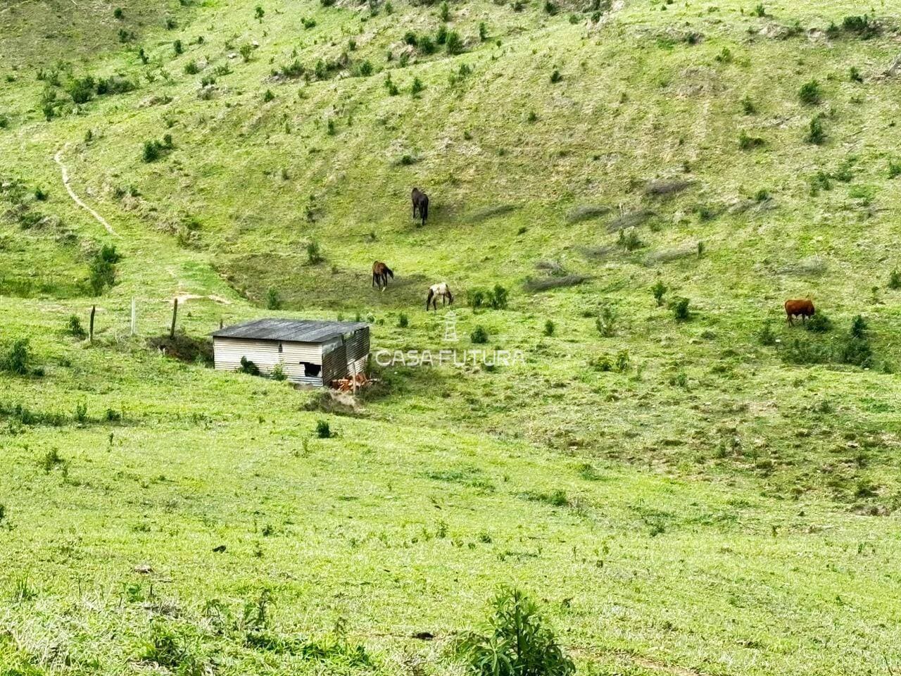 Terreno, 20.000 m² - foto 8